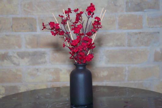 Scarlet Dreams Diffuser Set